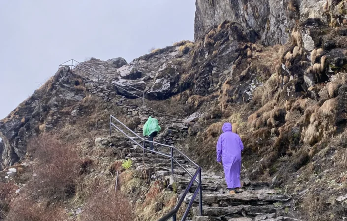 Climbing the stairs of laurebina 