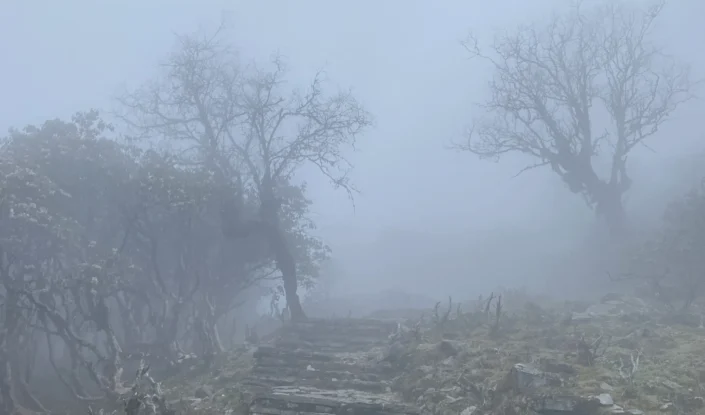 Fog,footwork on the way to Nasimpati.