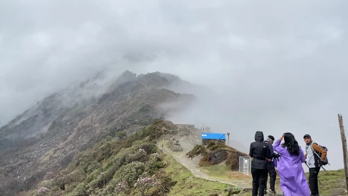 Fog,footwork on the way to Nasimpati.