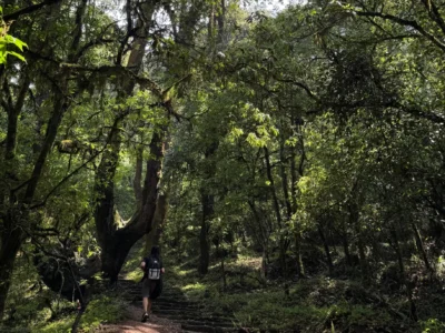 Why I Keep Going on Hikes: Back to Nature, Back to Myself