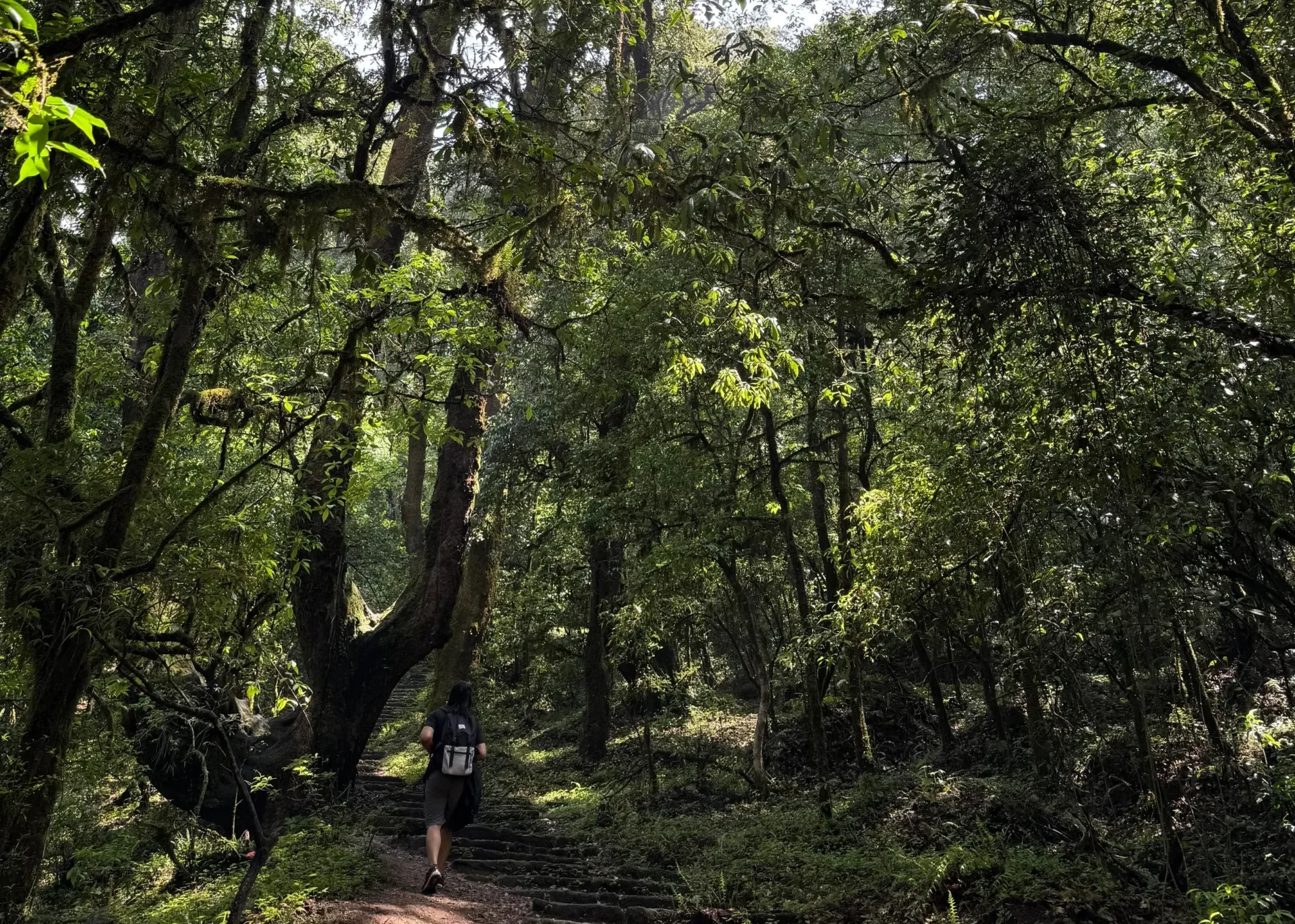 Why I Keep Going on Hikes: Back to Nature, Back to Myself